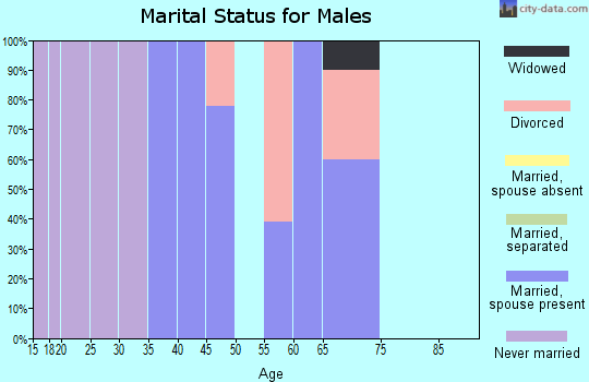Zip code 62695 marital status for males