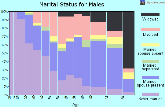Zip code 62703 marital status for males