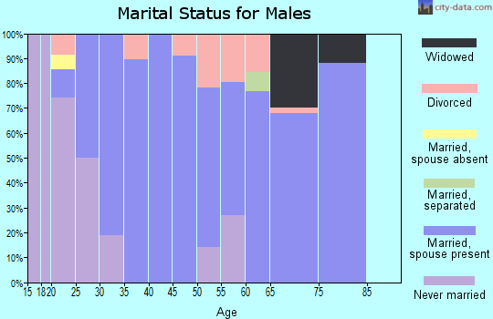 Zip code 62807 marital status for males