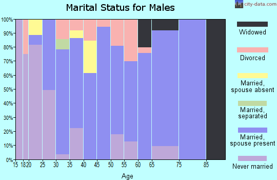 Zip code 62808 marital status for males