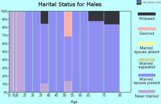 Zip code 62815 marital status for males