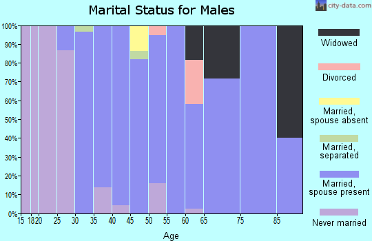 Zip code 62828 marital status for males