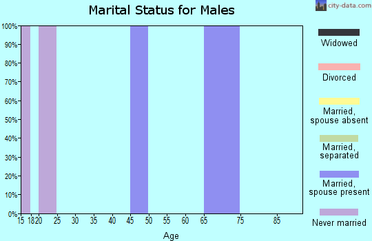 Zip code 62829 marital status for males