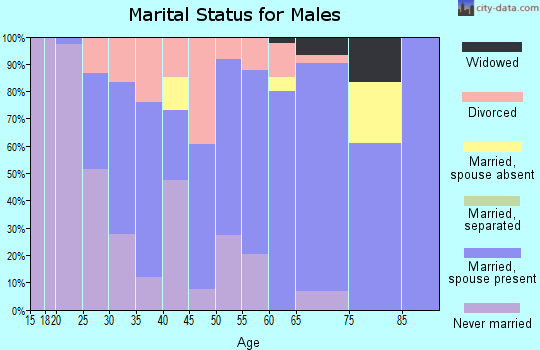 Zip code 62844 marital status for males