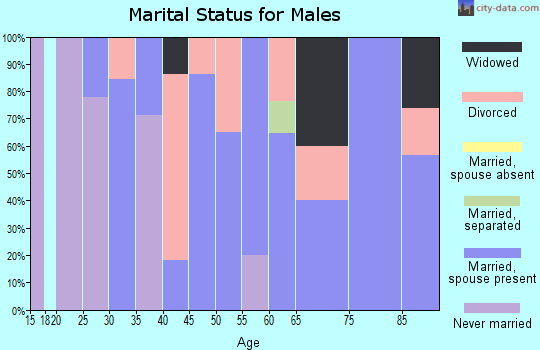Zip code 62848 marital status for males