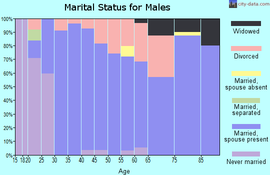 Zip code 62849 marital status for males