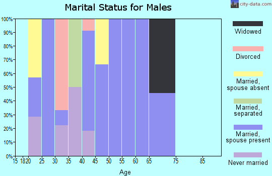 Zip code 62852 marital status for males