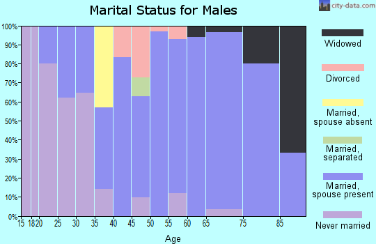 Zip code 62853 marital status for males