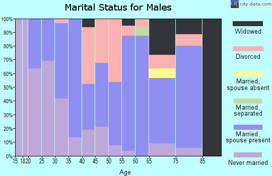 Zip code 62854 marital status for males
