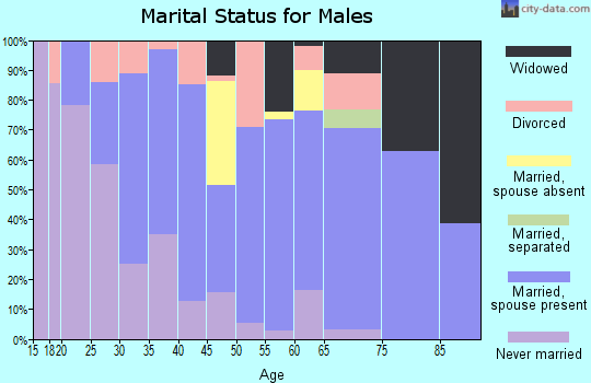 Zip code 62858 marital status for males