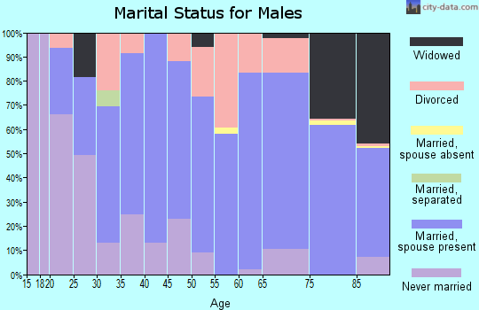 Zip code 62859 marital status for males