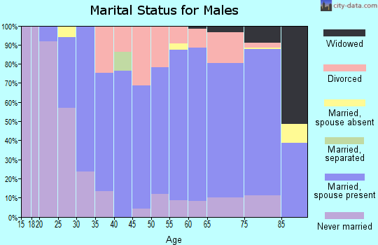 Zip code 62863 marital status for males