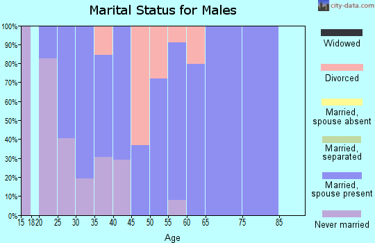 Zip code 62865 marital status for males