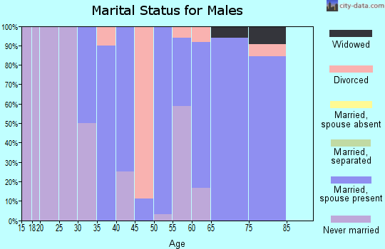 Zip code 62867 marital status for males