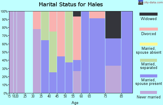 Zip code 62874 marital status for males