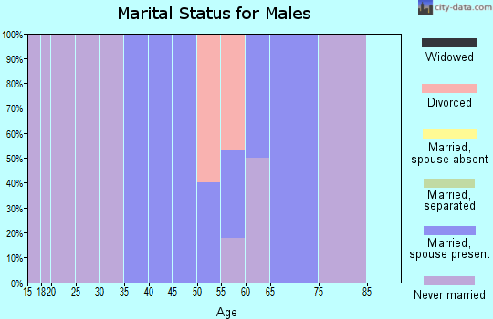 Zip code 62876 marital status for males