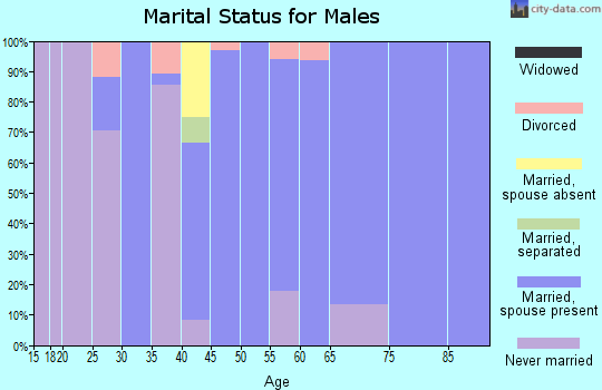Zip code 62877 marital status for males