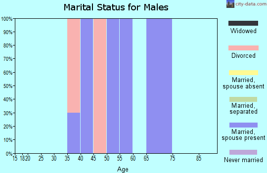 Zip code 62878 marital status for males