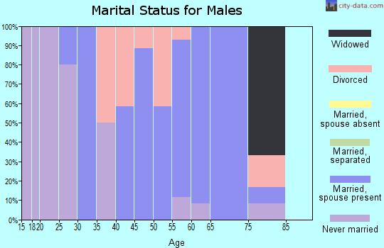 Zip code 62880 marital status for males