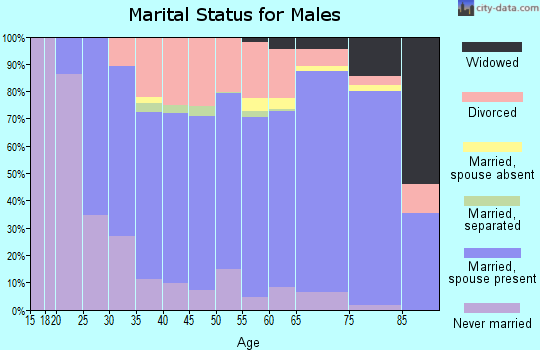 Zip code 62881 marital status for males
