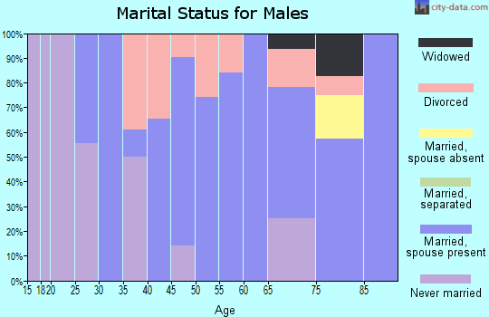 Zip code 62891 marital status for males