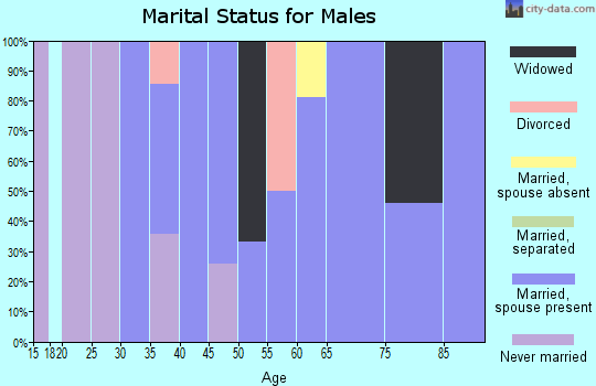 Zip code 62897 marital status for males