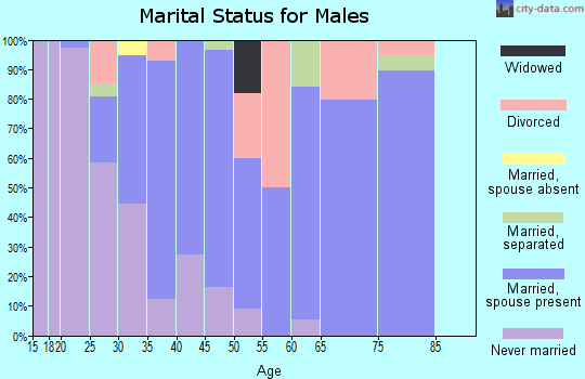 Zip code 62899 marital status for males