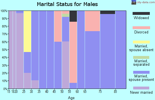 Zip code 62905 marital status for males