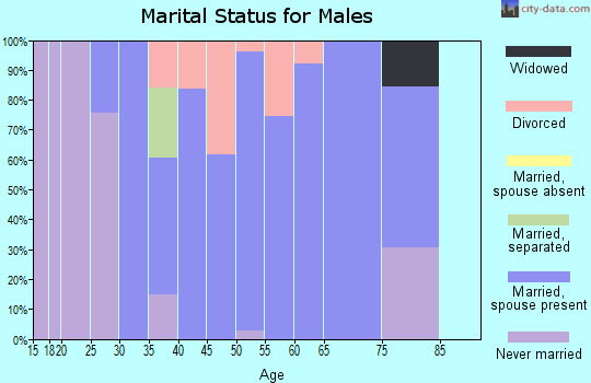 Zip code 62907 marital status for males