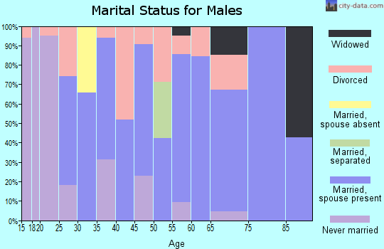 Zip code 62910 marital status for males
