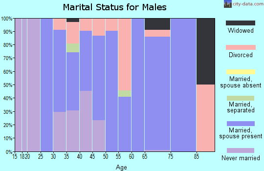 Zip code 62912 marital status for males