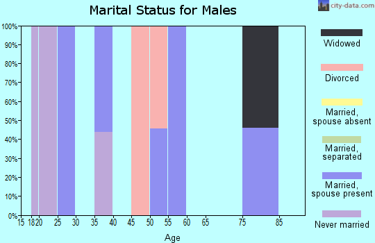 Zip code 62915 marital status for males