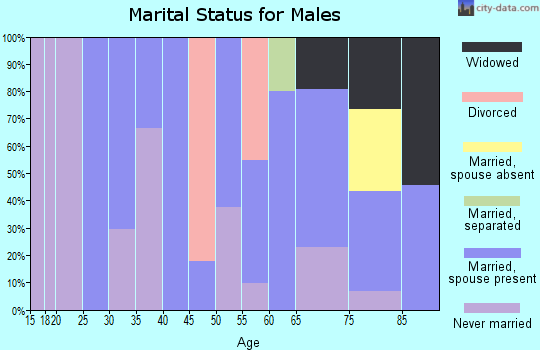 Zip code 62933 marital status for males