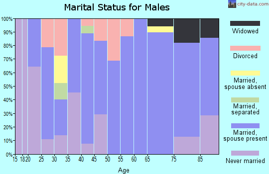 Zip code 62935 marital status for males