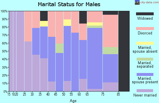 Zip code 62938 marital status for males