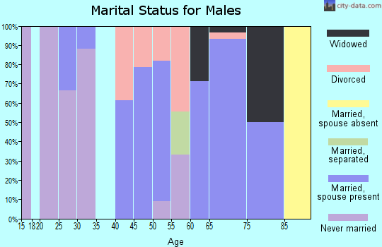Zip code 62940 marital status for males