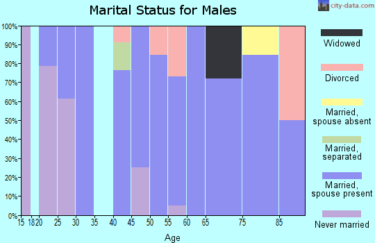 Zip code 62941 marital status for males