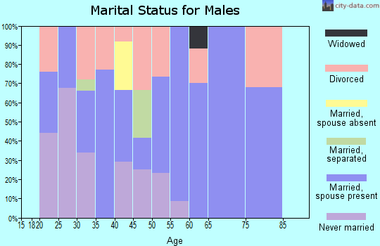 Zip code 62949 marital status for males