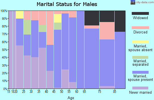 Zip code 62951 marital status for males