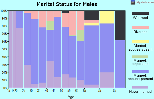 Zip code 62952 marital status for males
