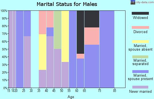 Zip code 62953 marital status for males