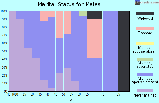 Zip code 62956 marital status for males
