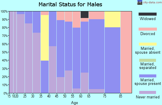 Zip code 62958 marital status for males