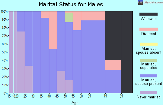 Zip code 62987 marital status for males
