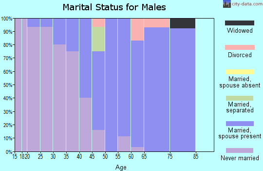 Zip code 62990 marital status for males