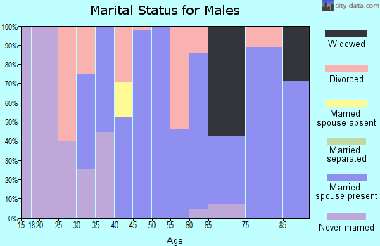 Zip code 62994 marital status for males