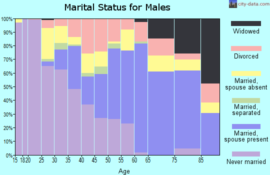 Zip code 62995 marital status for males