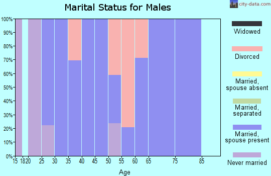 Zip code 62997 marital status for males