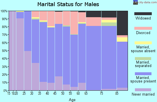 Zip code 63010 marital status for males
