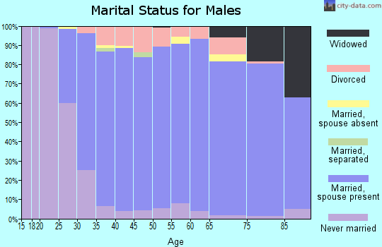 Zip code 63011 marital status for males